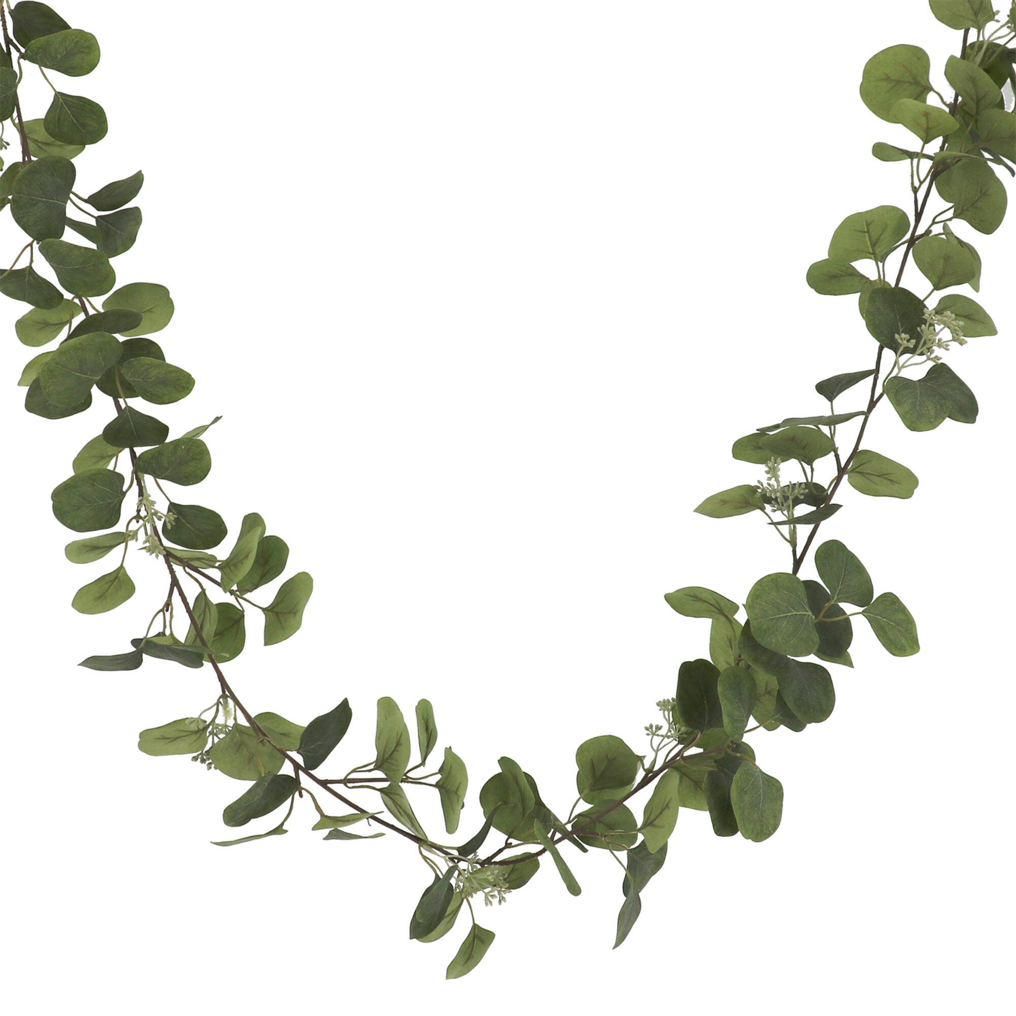 6ft. Eucalyptus Garland by Ashland
